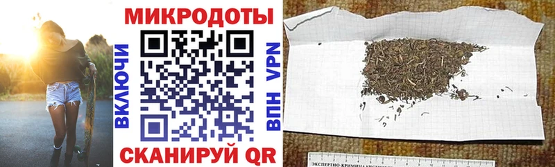 где купить наркоту  Шали  Псилоцибиновые грибы Cubensis 
